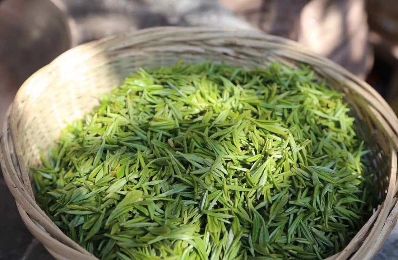 茶葉檢測.jpg
